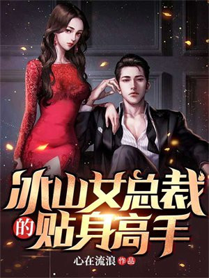 冰山女总裁的贴身高手完整版