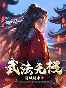 武法律师合集解说