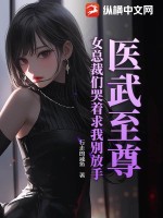 小说女总裁的医武至尊