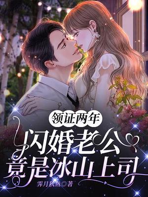 闪婚丈夫竟然是公司总裁