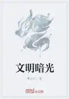 文明暗光