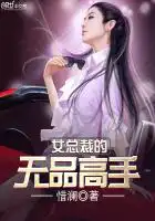 女总裁的无品高手