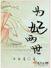 为妃作歹小说